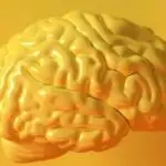 Acquired Brain Injury (ABI) Communication Lab